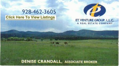 ET Venture Group LLC Business Card